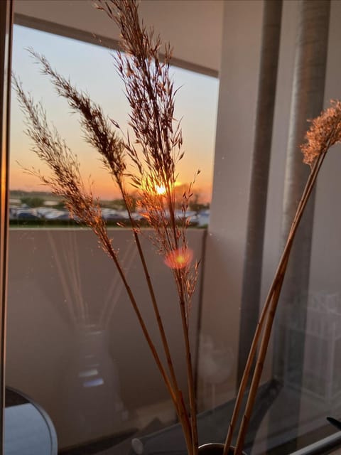 Ferienpark H01-003 Ferienpark Apartment in Heiligenhafen