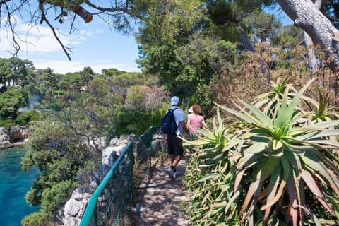 Port Vauban appartement F3 refait à neuf Apartment in Antibes