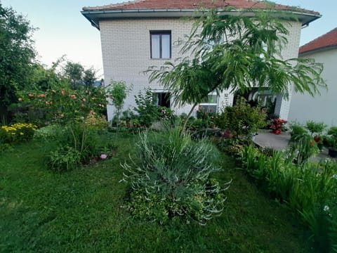 Garden, Balcony/Terrace, Garden view