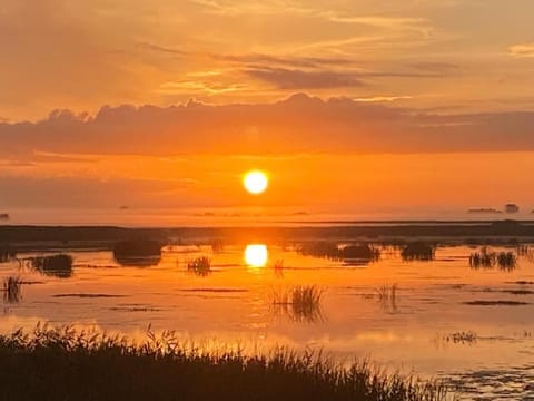 Natural landscape, Lake view, Sunrise