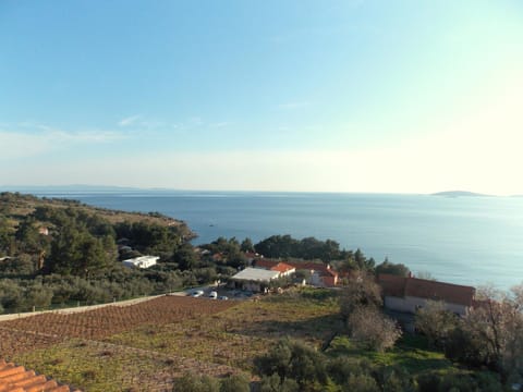 Location, children, Family