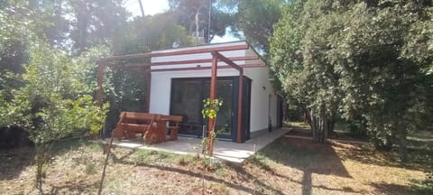 Property building, Patio, Spring, Day, Garden, Garden view