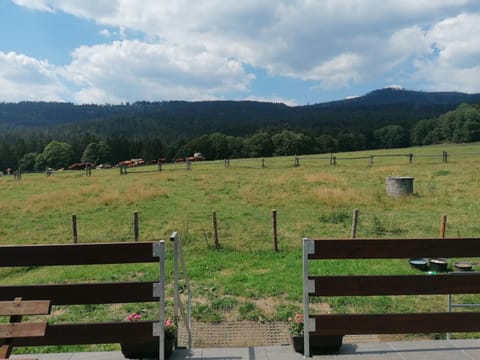 View (from property/room)