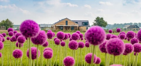 B&B de Cley Bed and Breakfast in Noordwijk