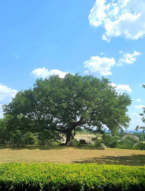 Activities, View (from property/room), Decorative detail, Text overlay