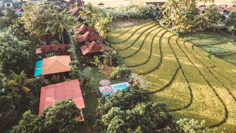 Property building, Natural landscape, Garden