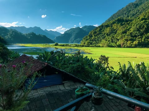 Natural landscape