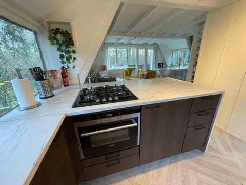 Kitchen or kitchenette, microwave, oven