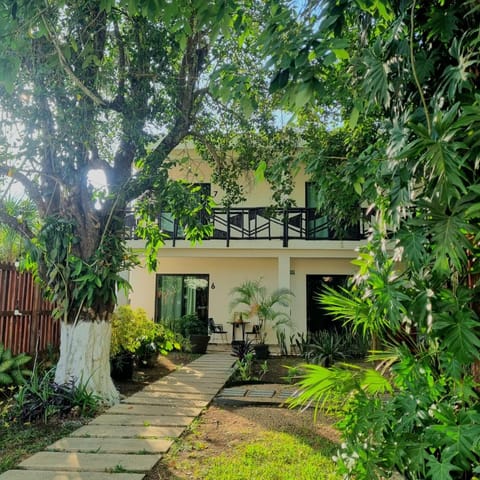 Property building, Garden, Garden view