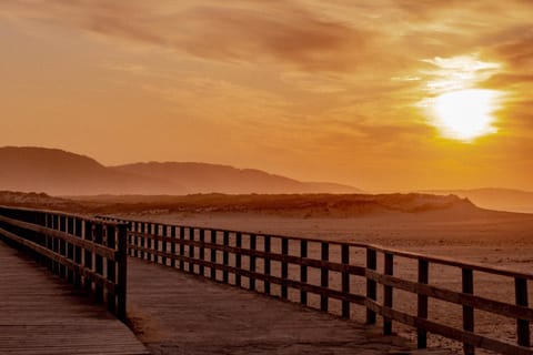 Natural landscape, Beach, Lake view, Sunset