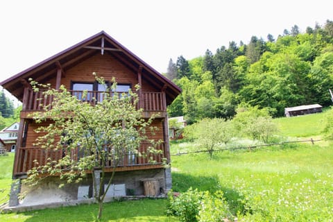 Property building, Spring, Day, Natural landscape, Garden