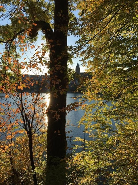 Hotel Restaurant Bürgerstube Hotel in Cochem-Zell