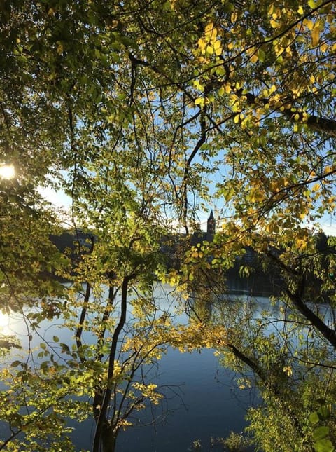 Hotel Restaurant Bürgerstube Hotel in Cochem-Zell