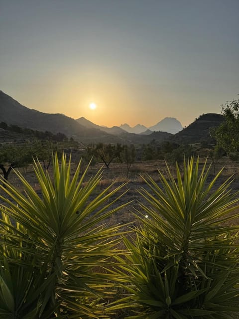 Casa Pura Vida Bed and Breakfast in Marina Baixa