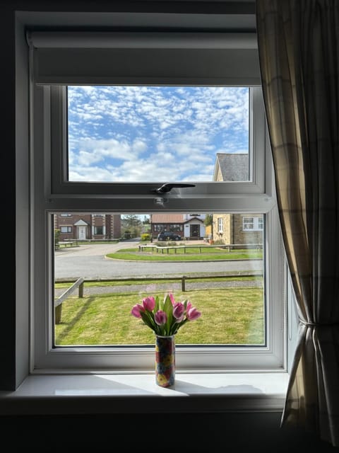 Day, Living room, Street view, Quiet street view