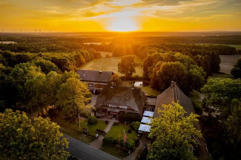 Bird's eye view, Garden, Sunset