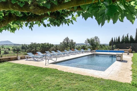 Spring, Natural landscape, Garden view, Swimming pool, sunbed