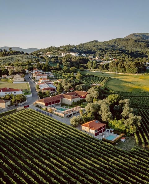 Day, Bird's eye view, Garden, Mountain view, Location