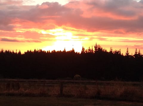 Self Contained Cottage Pukekohe Apartment in Waikato