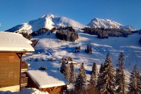 Mountain view