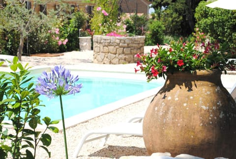 Garden, Swimming pool