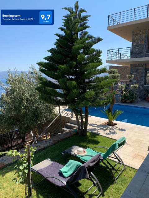Garden, Swimming pool