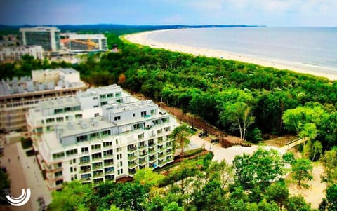 Property building, Bird's eye view