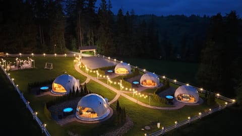 Night, Garden view