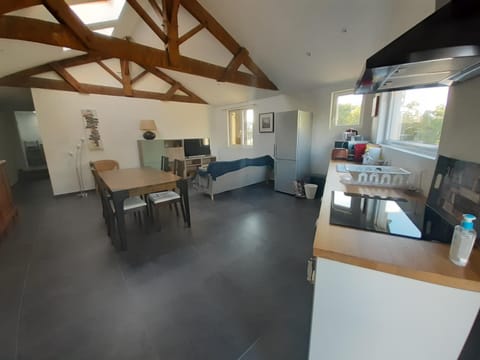 Living room, kitchen