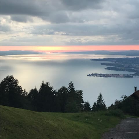 Lake view