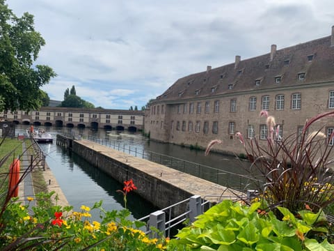 Nearby landmark, Neighbourhood