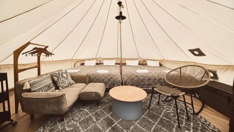 Bed, Living room, Photo of the whole room, Seating area, Bedroom