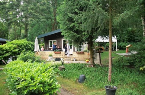 Nieuw vebouwd Vakantie Boshuisje Meibloempje House in Limburg (province)