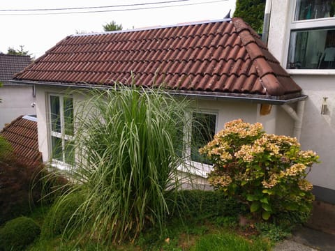 Property building, Garden view