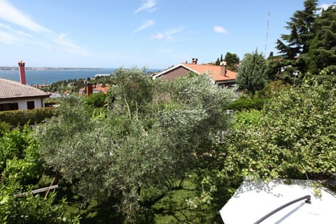 Neighbourhood, Garden view, Sea view