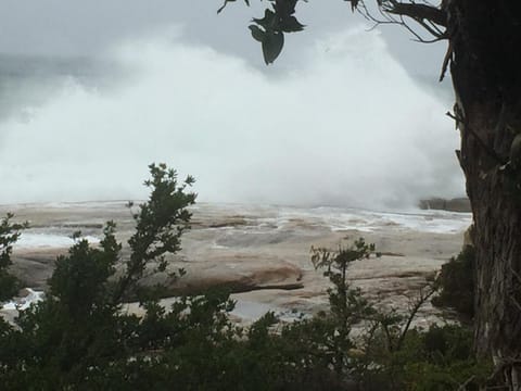 Wheel House Studio Bed and Breakfast in Bicheno