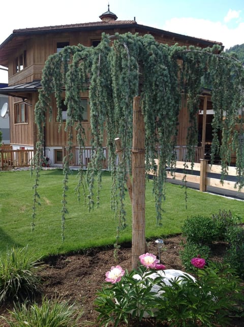 Property building, Summer, Garden