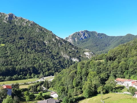 Mountain view