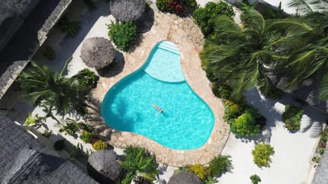 Property building, Bird's eye view, Garden, Garden view, Pool view, Swimming pool, sunbed