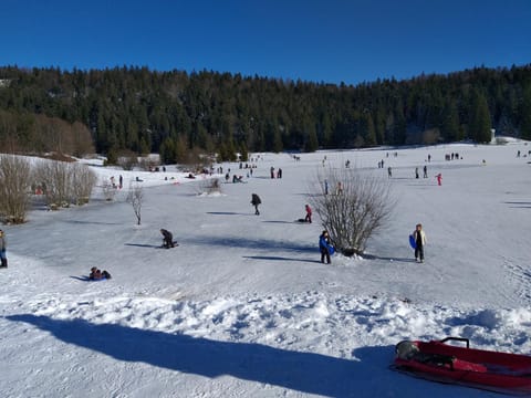 Le Manant Apartment in Haute-Savoie
