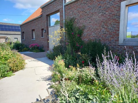 Property building, Garden view