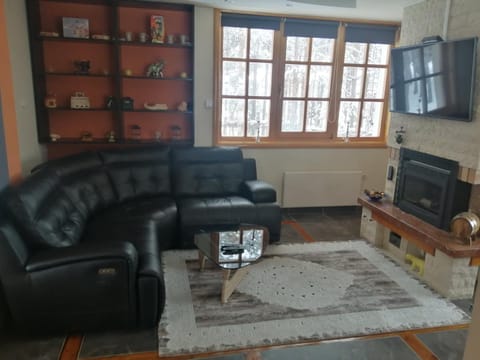 Vila Panić Zlatibor Villa in Zlatibor District, Serbia