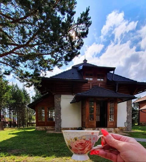 Vila Panić Zlatibor Villa in Zlatibor District, Serbia