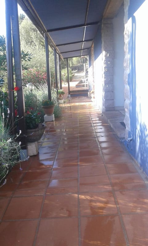 Property building, Patio