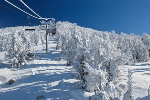 Chateau Sans Nom 29 Apartment in Mammoth Lakes