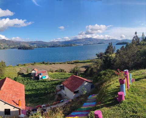 Lake view