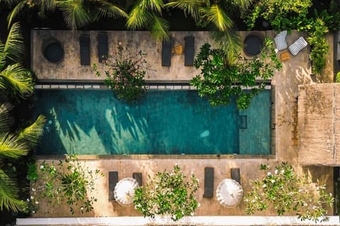 Pool view, Swimming pool