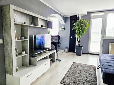 TV and multimedia, Living room