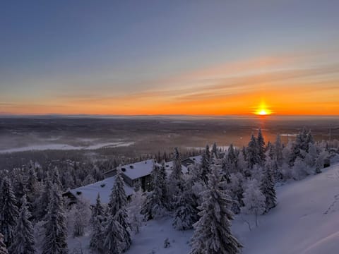 Ski in Ski out Panorama Iso-Syöte Apartment in Lapland