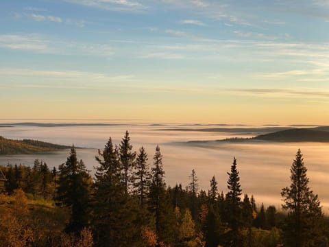 Ski in Ski out Panorama Iso-Syöte Apartment in Lapland